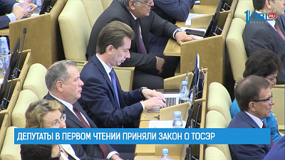 Депутаты в первом чтении приняли закон о ТОСЭР