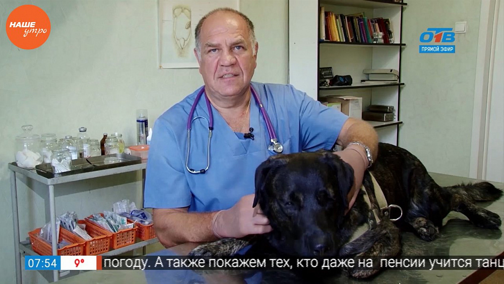 Ветеринар Николай Калинин осмотрел собаку