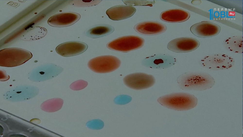 Всемирный день донора костного мозга в Челябинске