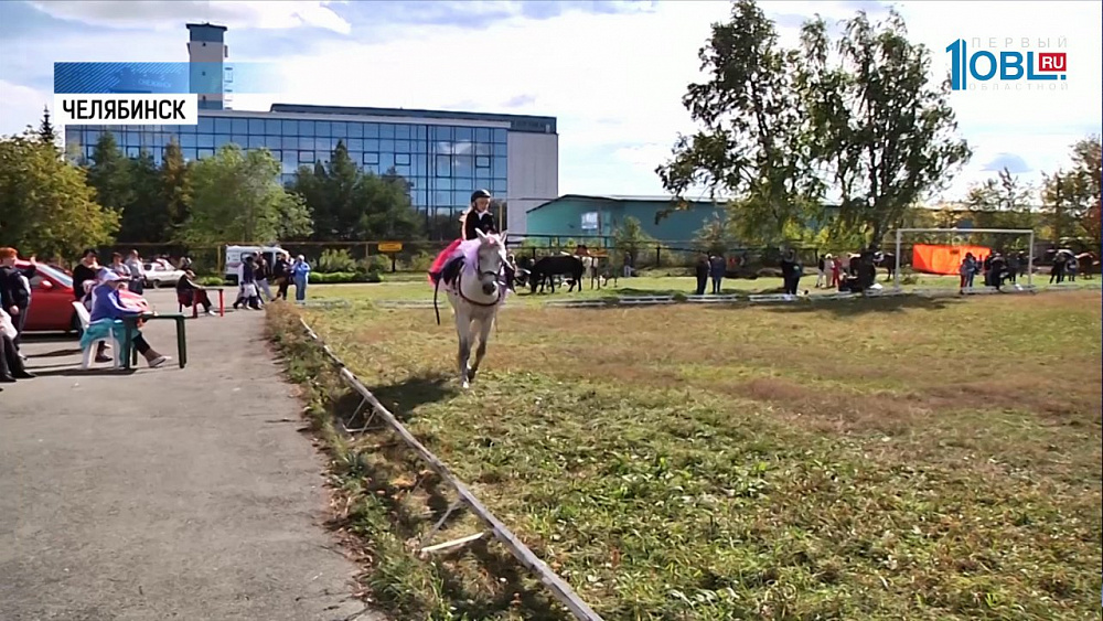 VIII Чемпионат по конному спорту собрал 100 участников