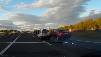 Табун лошадей спровоцировал  ДТП 