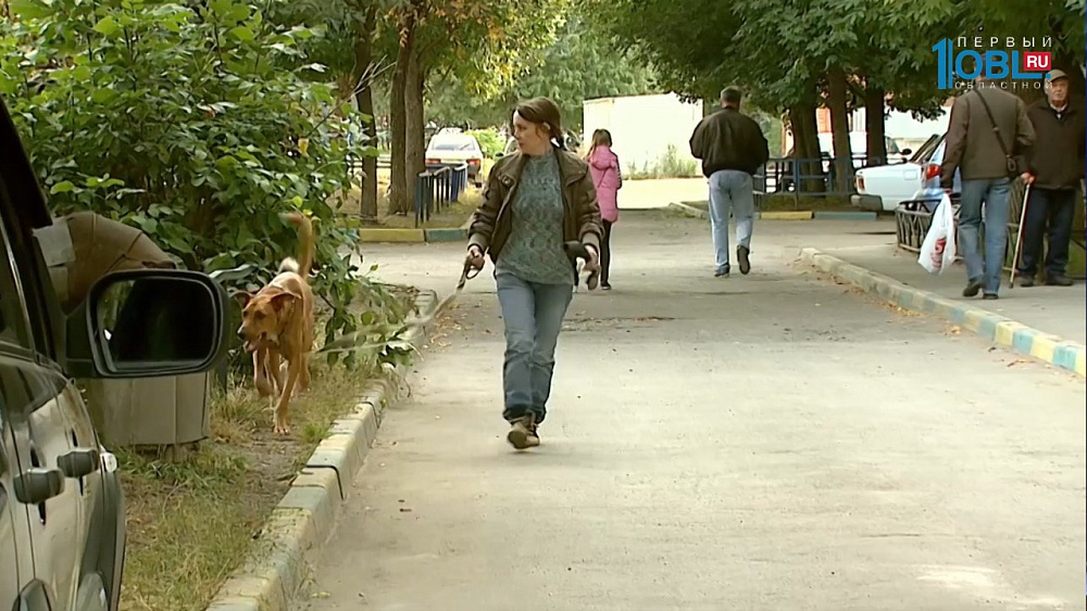 Челябинка приютила в квартире 20 собак