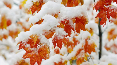 Мокрый снег ожидается в Челябинской области