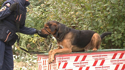 В Челябинске стартовали соревнования кинологических расчетов 