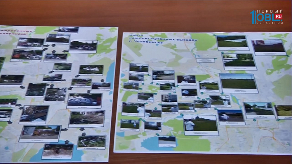 Борис Дубровский раскритиковал незаконные вырубки