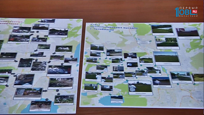 Борис Дубровский раскритиковал незаконные вырубки