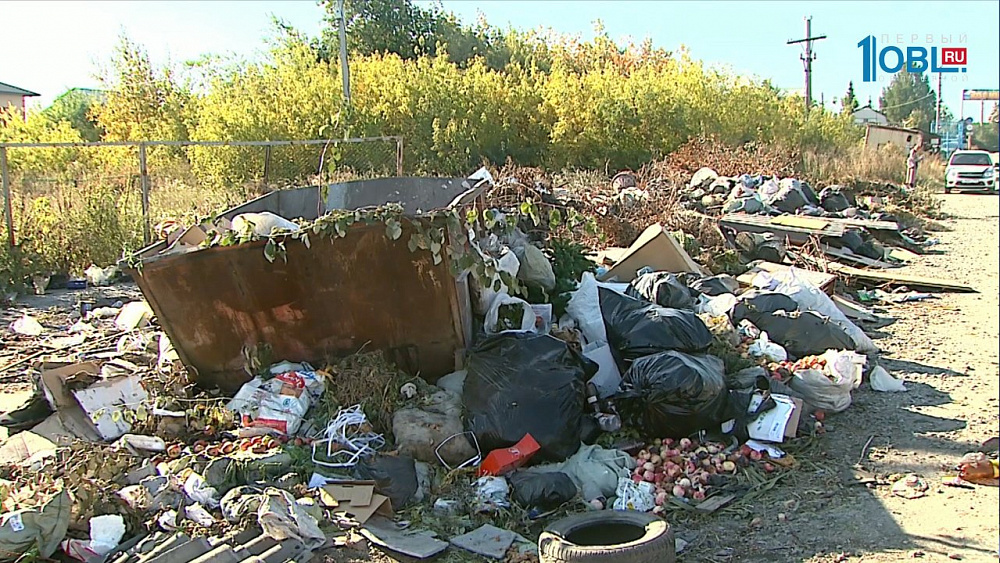 На границе двух районов появилась свалка