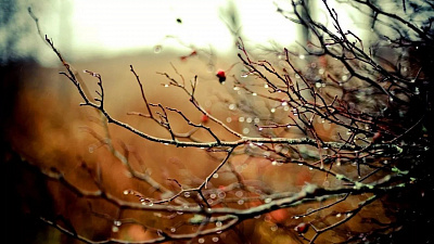 До минус 9 похолодает в Челябинской области 