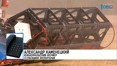 Юрий Дорошенко Доцент кафедры логистики, экономики и торговли ЮУрГУ о субсидиях экспортерам