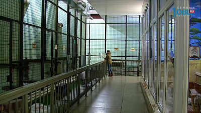 В зоопарке отметили начало отопительного сезона