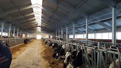 Селекционно-генетический центр появится в Челябинской области