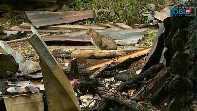 В деревне Аллаки за месяц сгорело 6 частных домов