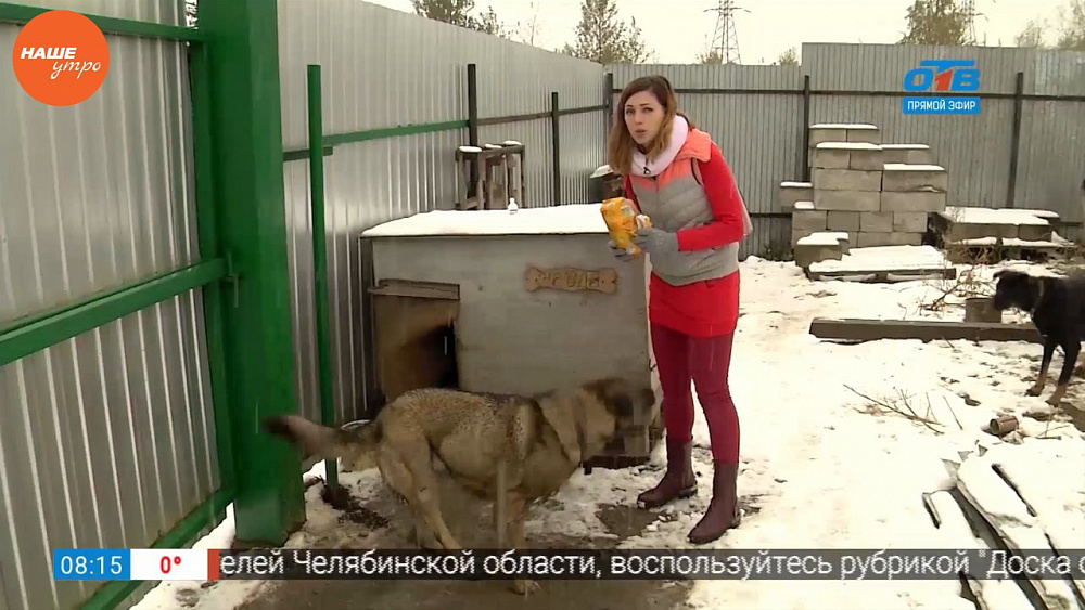 Наше УТРО на ОТВ – ведущие программы - волонтеры в приюте