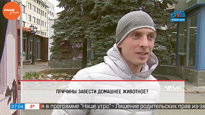 Наше УТРО на ОТВ – опрос –какие причины завести домашнего питомца?