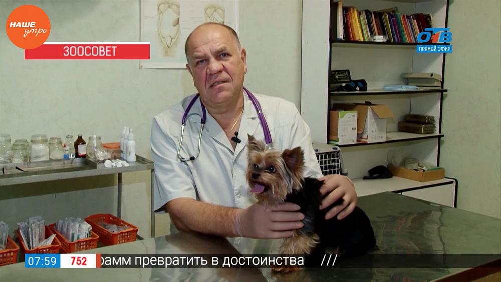 Ветеринар провел профилактический осмотр собаки