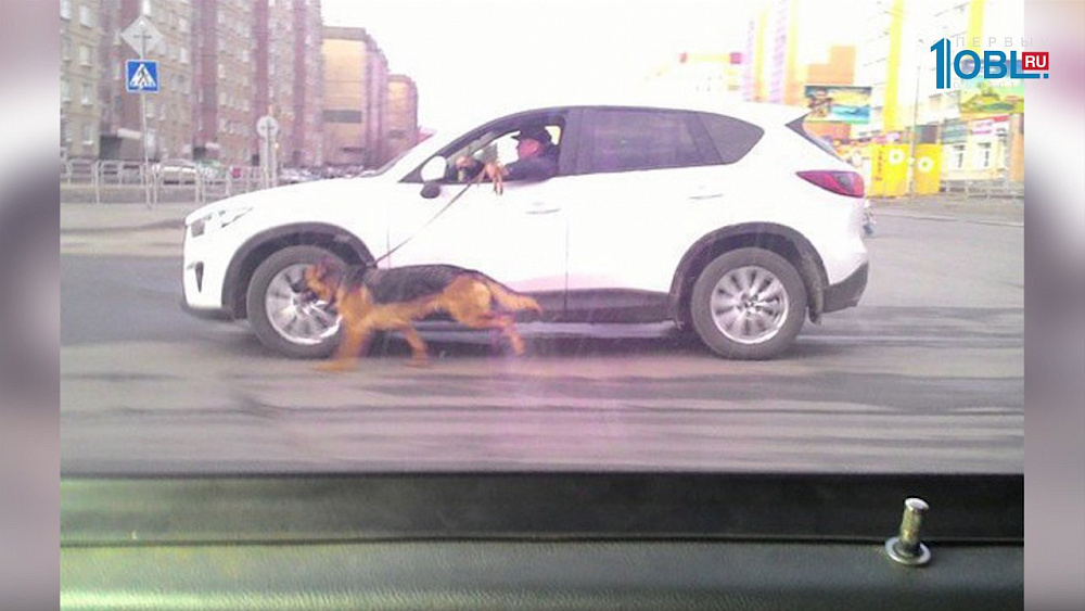 Происшествия дня 05.10.2017