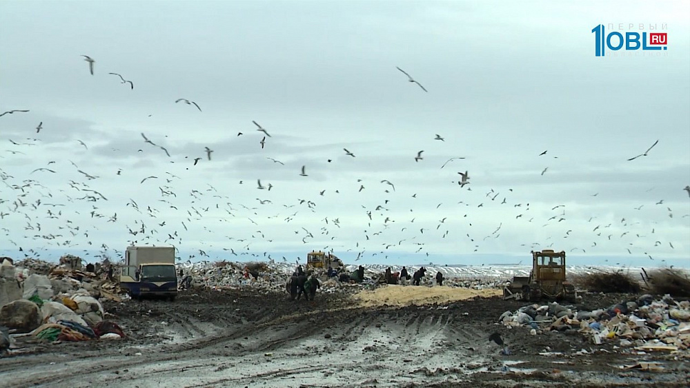 Вместо свалки - сквер