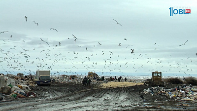 Вместо свалки - сквер