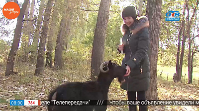 Наше УТРО на ОТВ – мистические истории – зона Першино