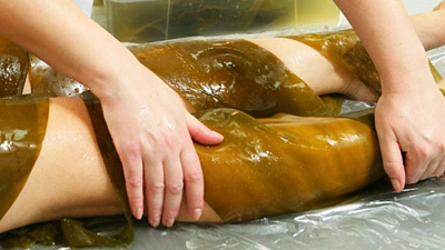 Швейцарские ученые предлагают лечить заболевания опорно-двигательной системы водорослями