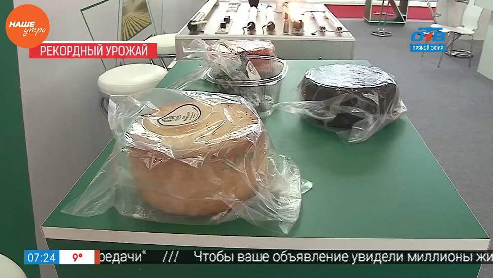 Наше УТРО на ОТВ – сельское хозяйство