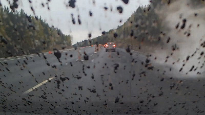 Дорожники облили горячим гудроном десятки автомобилей на трассе «Екатеринбург-Челябинск» 