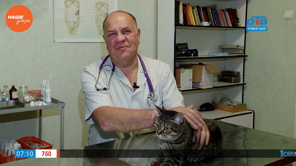 Ветеринарный врач Николай Калинин осмотрел еще одну кошку