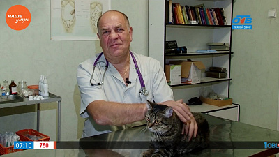 Ветеринарный врач Николай Калинин осмотрел еще одну кошку