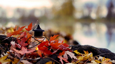 Челябинцев ждут последние теплые выходные в этом году