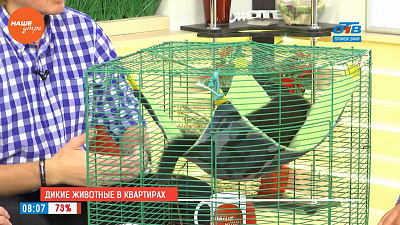 Наше УТРО на ОТВ – гость в студии – Карен Даллакян