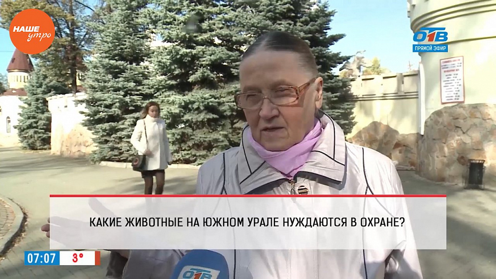 Наше УТРО на ОТВ – опрос – какие животные на Южном Урале нуждаются в охране?