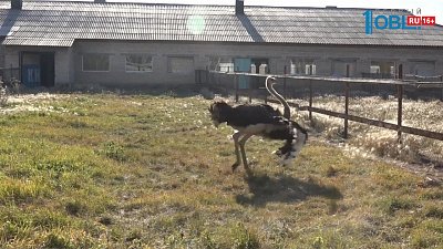 Пенсионеров бесплатно возят на курорты