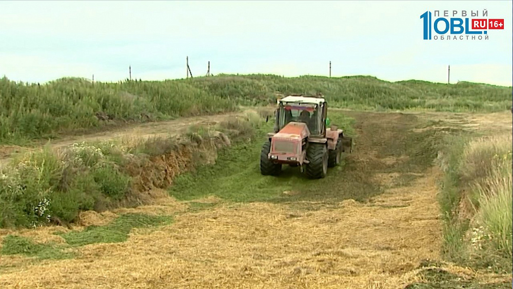 Аграрии получат субсидии на возврат земли