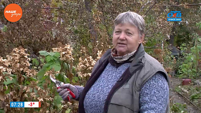 Надежда Черненко рассказала о том, как правильно ухаживать за гортензией