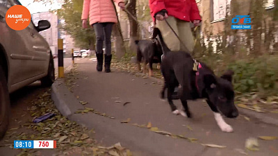 Наше УТРО на ОТВ –  маленькие приёмыши