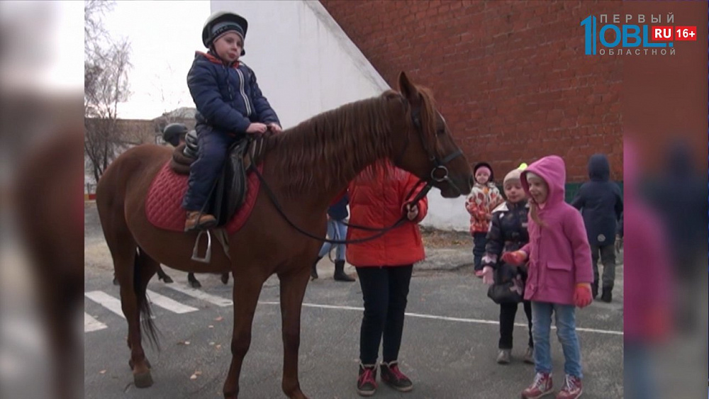 В детском саду № 52 начались уроки верховой езды 