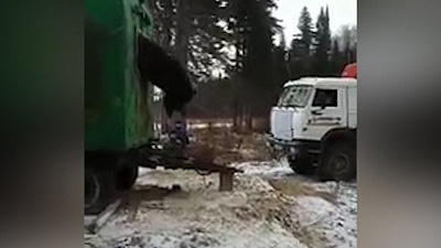Медведя вытянули КамАЗом из окна бытовки