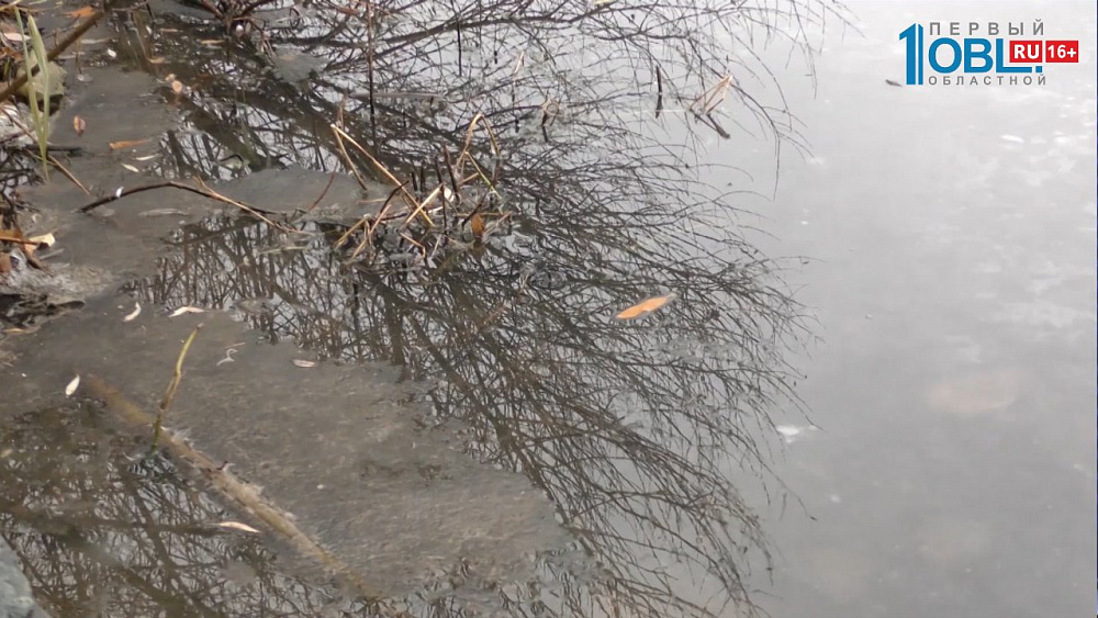 Подростки едва не утонули в Озерске