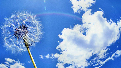 Росприроднадзор: достоверность проверок состава воздуха в Челябинске не менее 80 процентов 