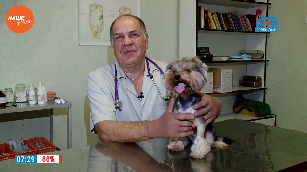 Ветеринар Николай Калинин рассказал, как уберечь животных от клещей
