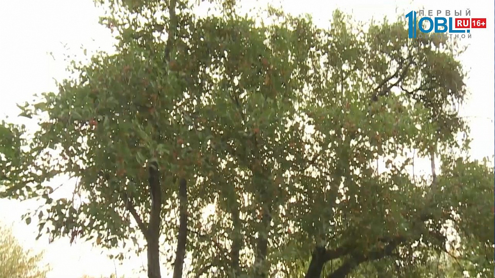 В Ленинском районе появится новый парк