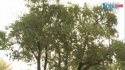 В Ленинском районе появится новый парк