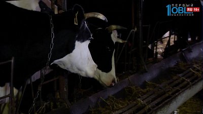 В Варненском районе увеличивают надои