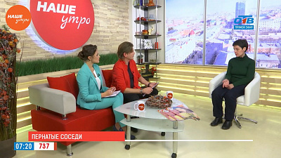 Наше УТРО на ОТВ – гость в студии Ирина Чухарева Наше УТРО на ОТВ – гость в студии Ирина Чухарева