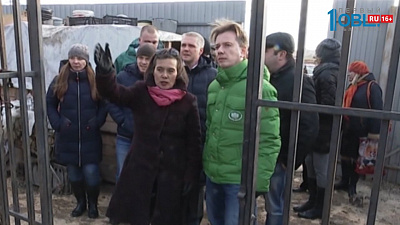 Активисты могут получить грант на помощь животным