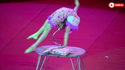 Более 500 юных участников представили лучшие номера на манеже челябинского цирка 