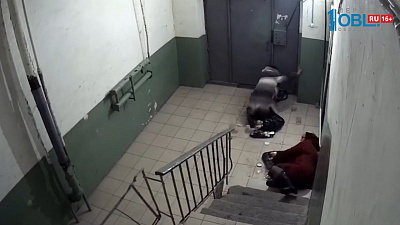 Происшествия недели 05.11.2017