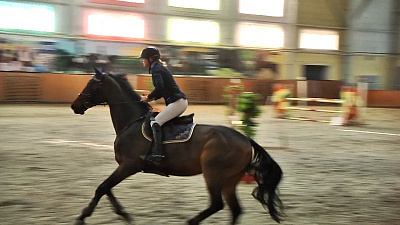 Соревнования по конкуру состоялись в конноспортивном комплексе «Рифей» 