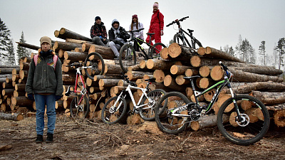 Депутат Госдумы требует проверить факт вырубки деревьев в Челябинском бору