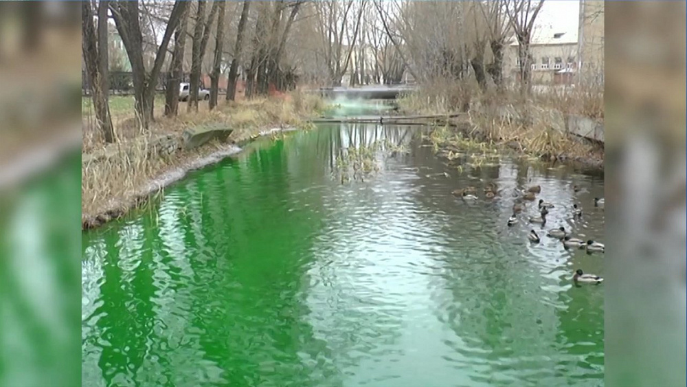 В Кыштыме позеленела речка